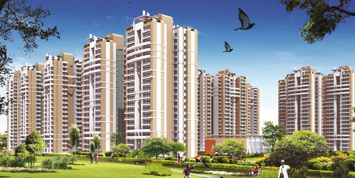 Cooks and Chefs in Greater Noida