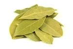 Bay Leaves (तेज पत्ता)