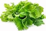 Parsley (अजमोद)