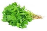 Coriander Leaves (धनिया पत्ता)