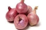 Onion (प्याज)