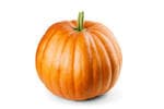 Pumpkin (कद्दू)