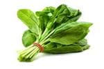 Spinach Palak (पालक)