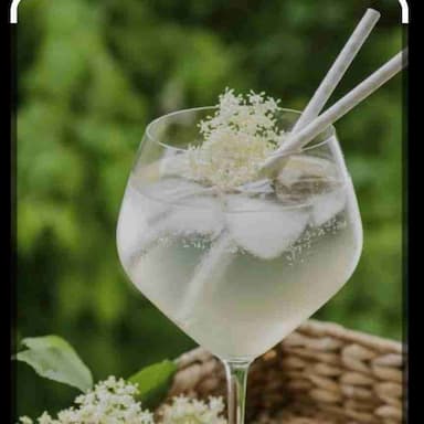 Tasty Elderflower cooked by COOX chefs cooks during occasions parties events at home