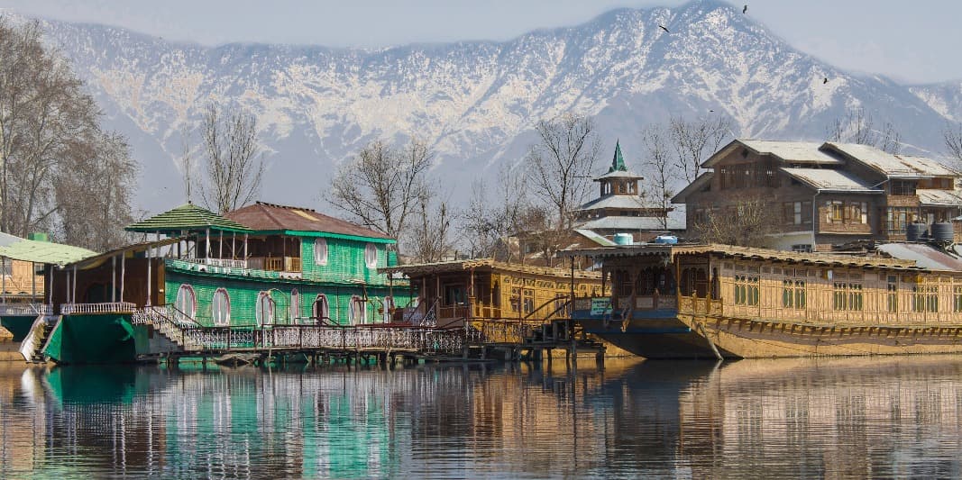 Cooks and Chefs in Srinagar