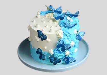 BIRTHDAY PARTY WOMEN CAKE 15