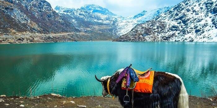 Cooks and Chefs in Sikkim