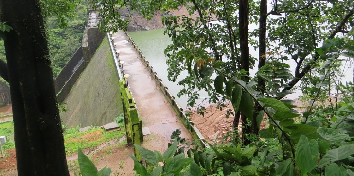 Cooks and Chefs in Satari