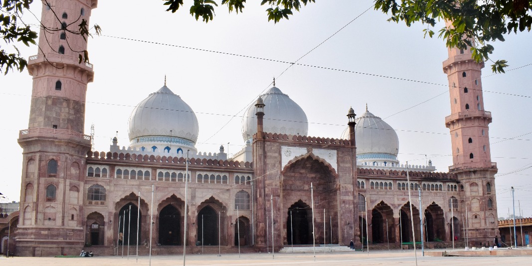 Cooks and Chefs in Bhopal