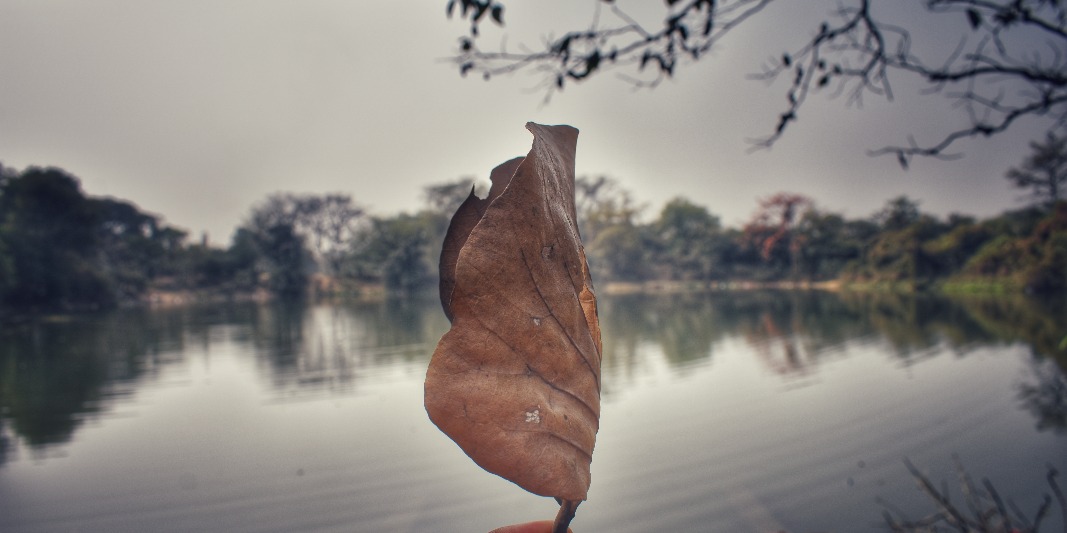 Catering Service in Asansol