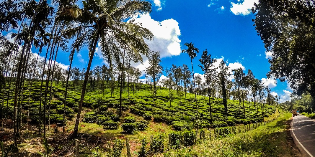 Cleaners in Gulbarga