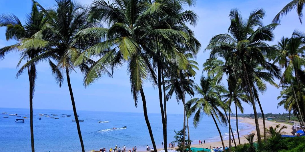 Bartenders in Siolim