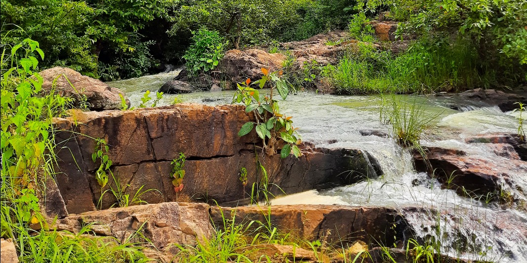 Cooks and Chefs in Ranchi