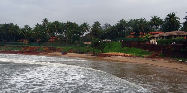 Bartenders in Tiswadi