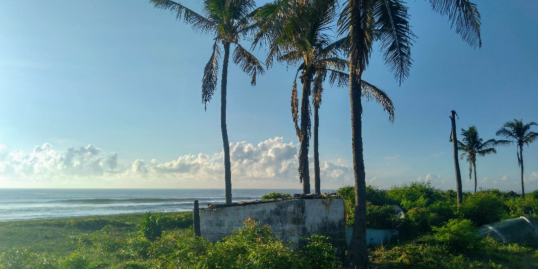 Cooks and Chefs in Ambattur