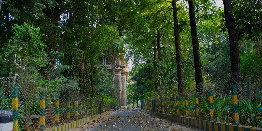 Cooks and Chefs in Guntur