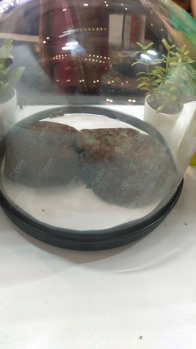 Tasty Pancake cooked by COOX chefs cooks during occasions parties events at home
