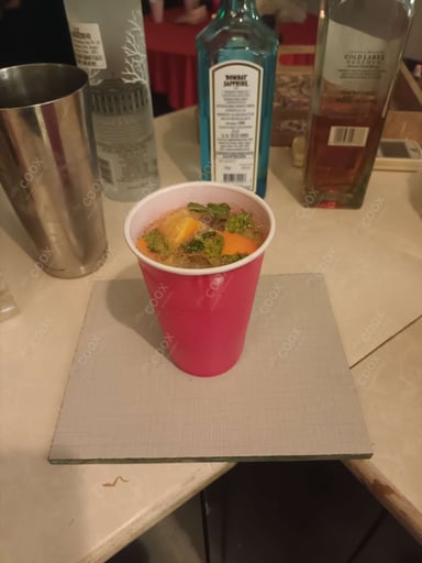 Tasty Gin & Tonic cooked by COOX chefs cooks during occasions parties events at home