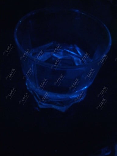 Tasty Gin & Tonic cooked by COOX chefs cooks during occasions parties events at home