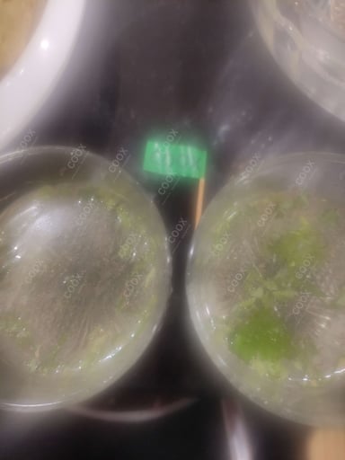 Tasty Lemonade Masala cooked by COOX chefs cooks during occasions parties events at home