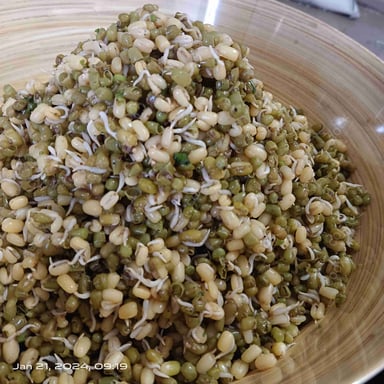 Tasty Sprouts cooked by COOX chefs cooks during occasions parties events at home