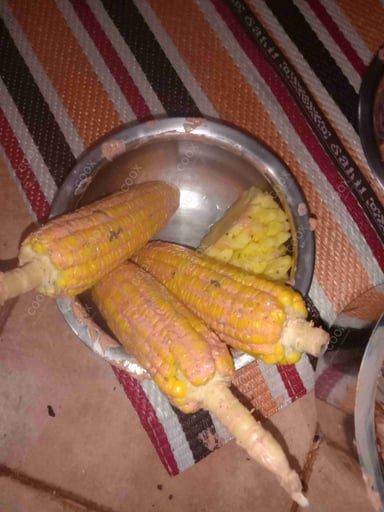 Tasty Grilled Corn cooked by COOX chefs cooks during occasions parties events at home