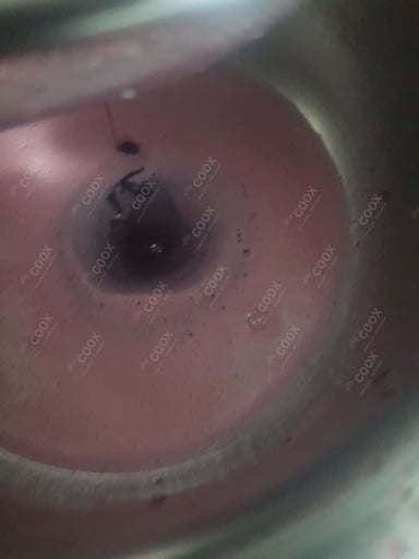 Tasty Fruit Juice cooked by COOX chefs cooks during occasions parties events at home