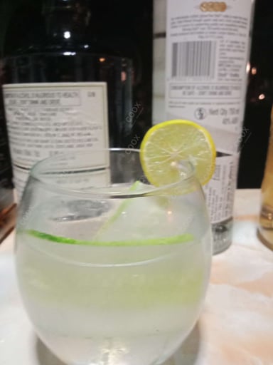 Tasty Gin & Tonic cooked by COOX chefs cooks during occasions parties events at home