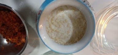 Tasty Plain Raita cooked by COOX chefs cooks during occasions parties events at home