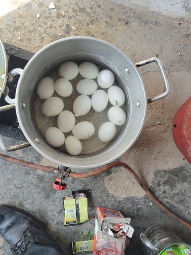 Tasty Boiled Eggs cooked by COOX chefs cooks during occasions parties events at home