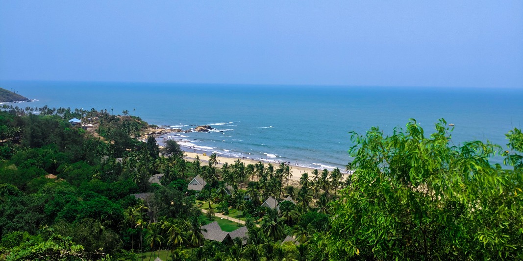 Cooks and Chefs in Panaji