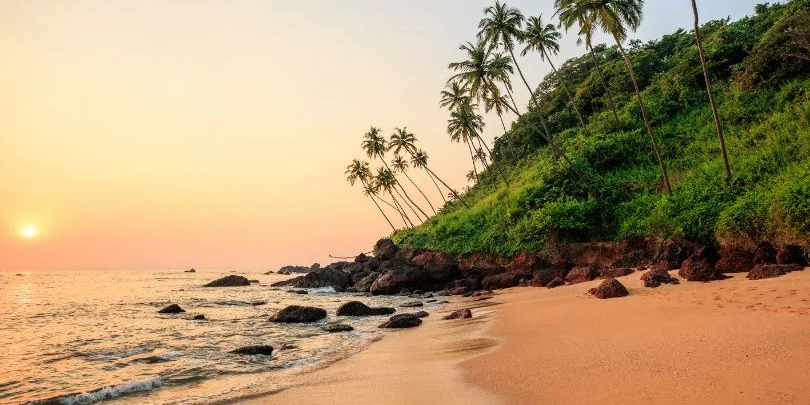 Cooks and Chefs in Goa