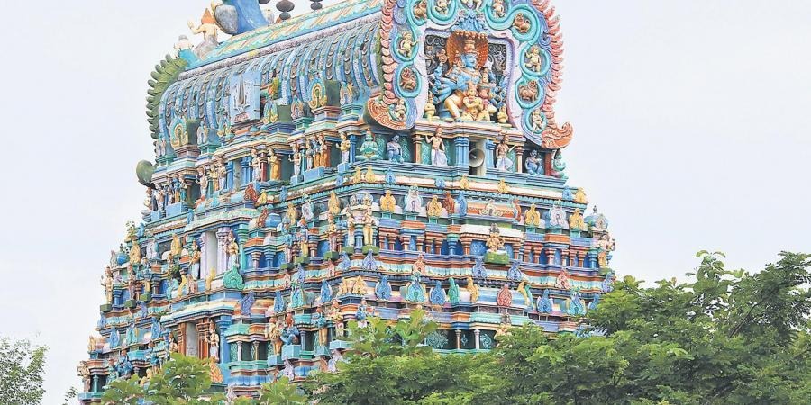 Waiters in Tamil Nadu
