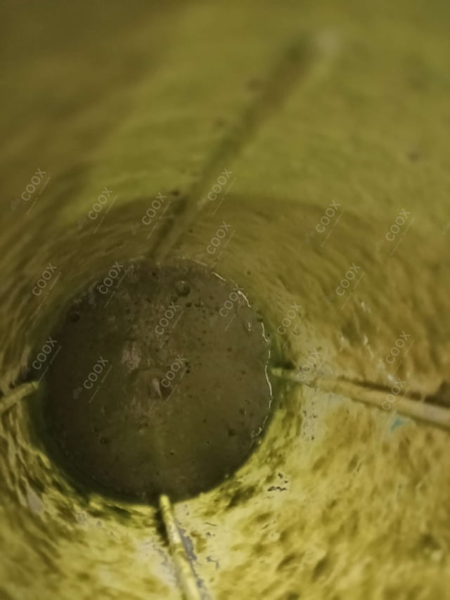 Delicious Green Chutney prepared by COOX