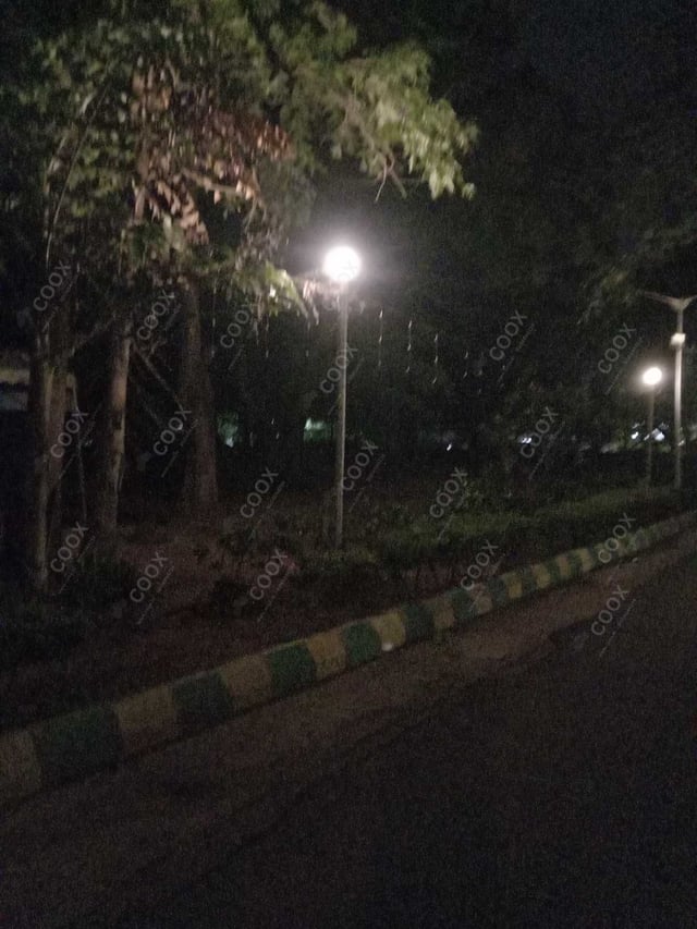 Happy Moment by COOX