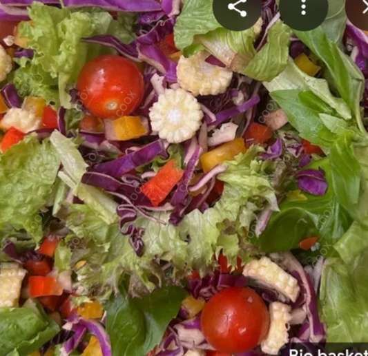 Tasty Garden Fresh Salad cooked by COOX chefs cooks during occasions parties events at home