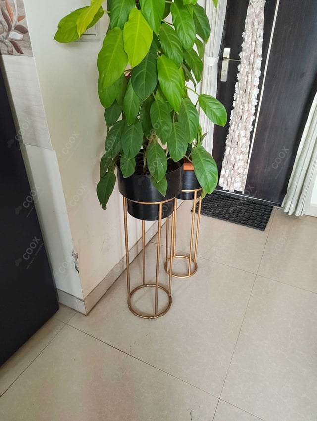 Happy Moment by COOX