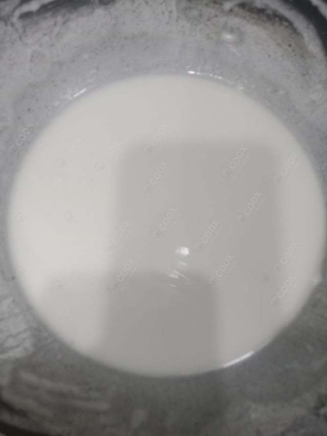 Delicious Plain Raita prepared by COOX