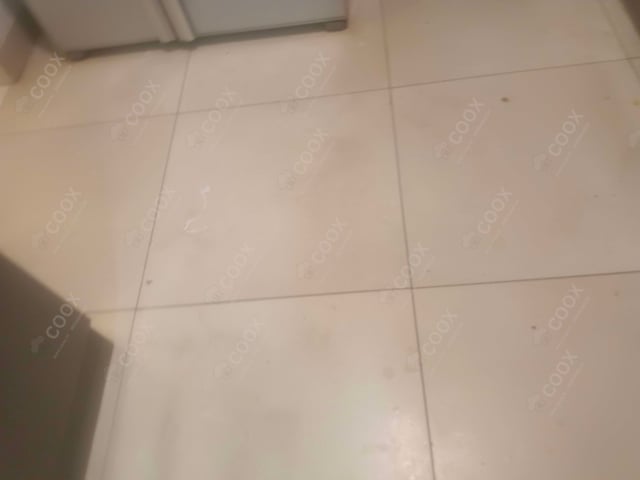 Delicious Murgh Malai Tikka prepared by COOX