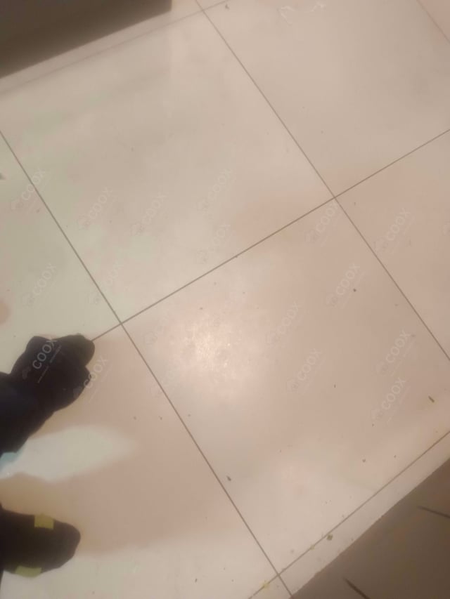 Delicious Dahi ke Sholey prepared by COOX