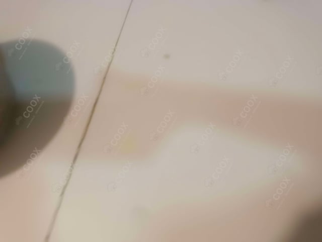 Delicious Mutton Galouti Kebab prepared by COOX