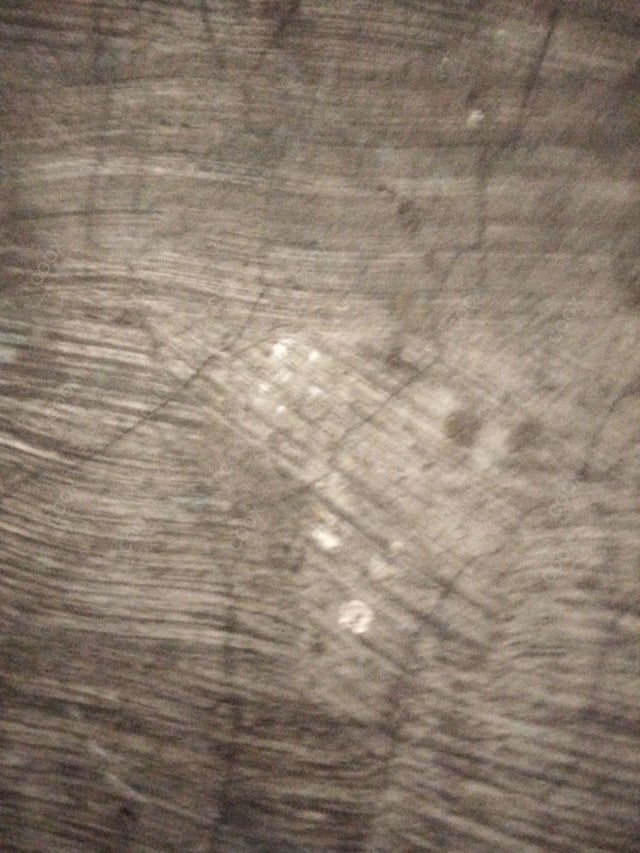 Delicious Pooris & Bedmis prepared by COOX