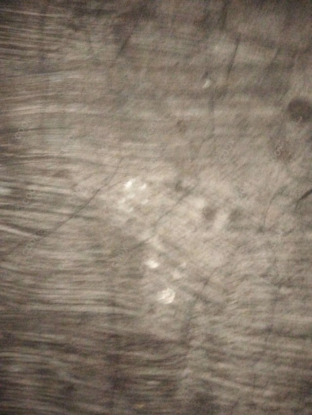 Delicious Mutton Korma prepared by COOX