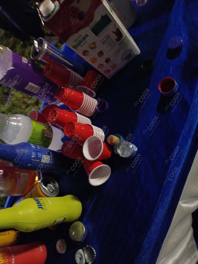 Tasty Virgin Mary cooked by COOX chefs cooks during occasions parties events at home