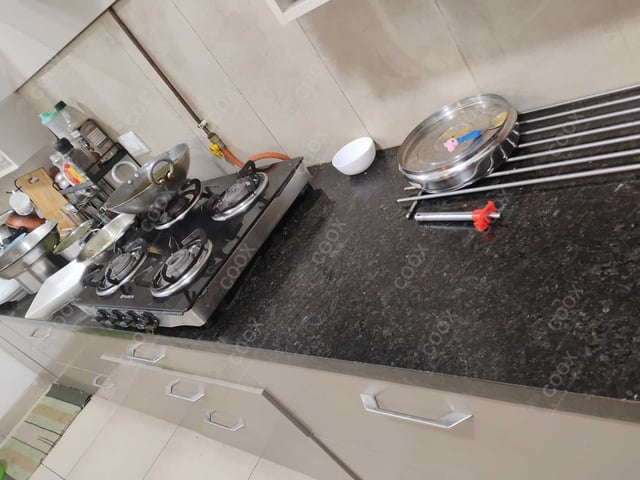 Happy Moment by COOX