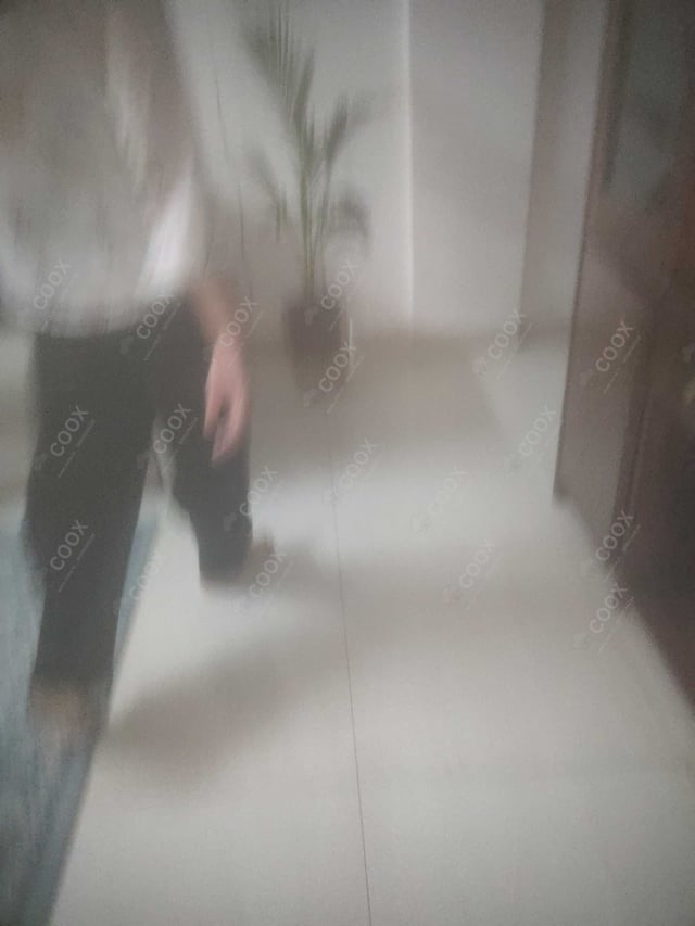 Happy Moment by COOX