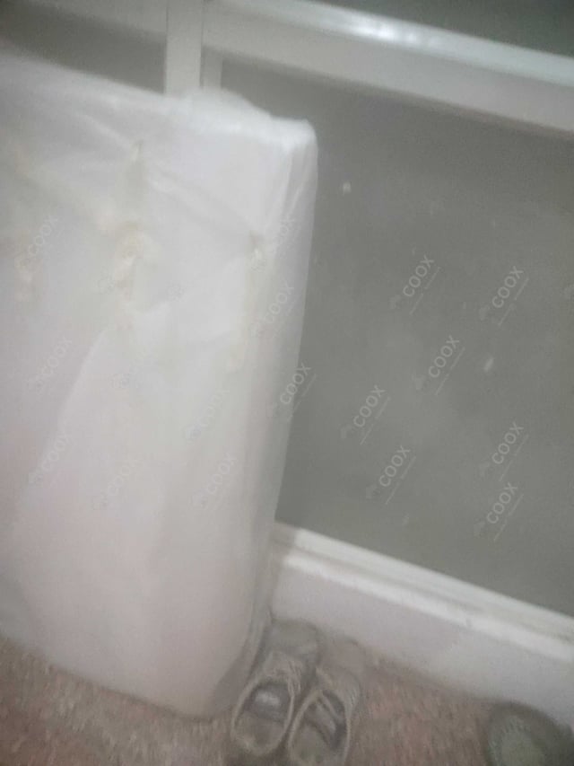 Happy Moment by COOX