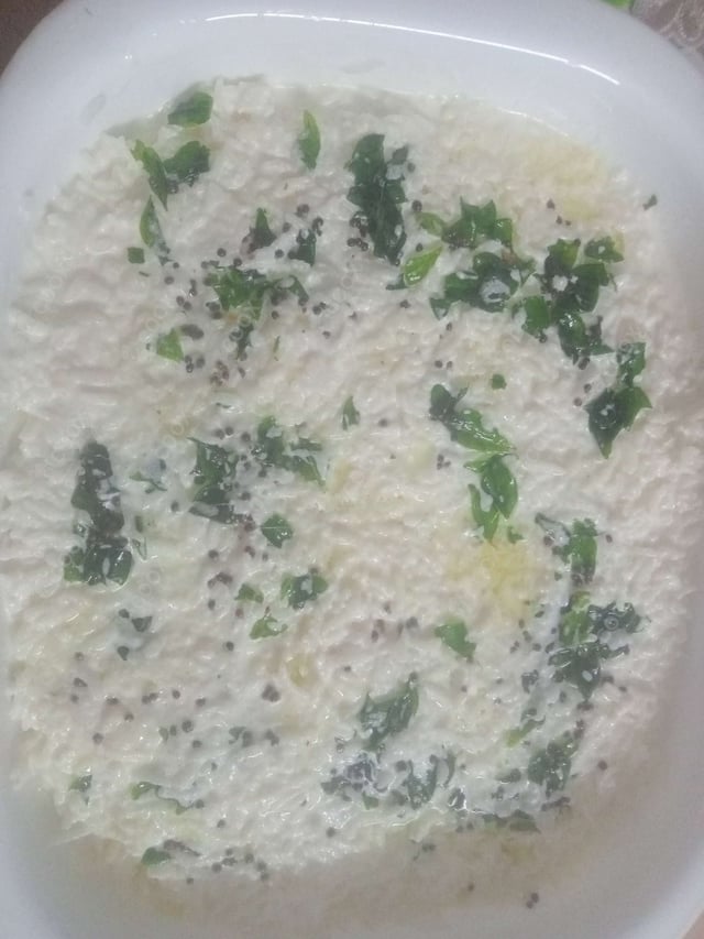 Tasty Curd Rice cooked by COOX chefs cooks during occasions parties events at home