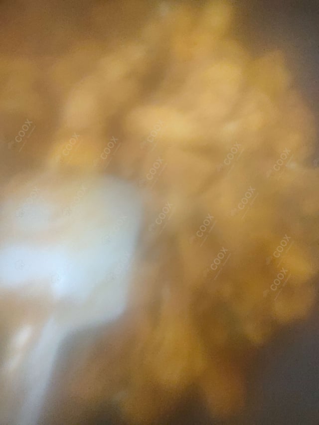 Delicious Aloo Gobhi prepared by COOX