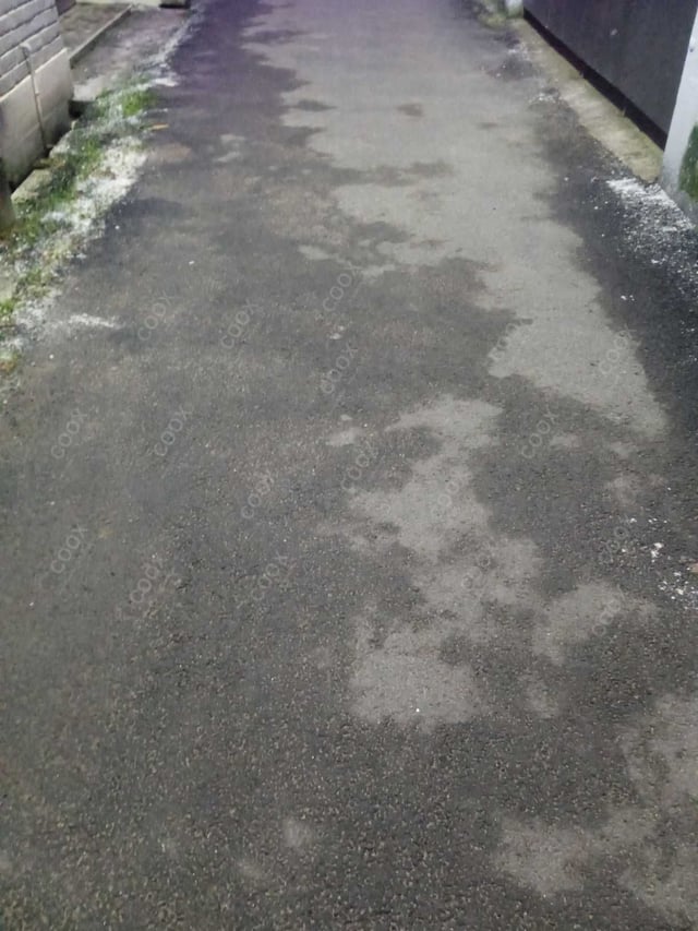 Happy Moment by COOX